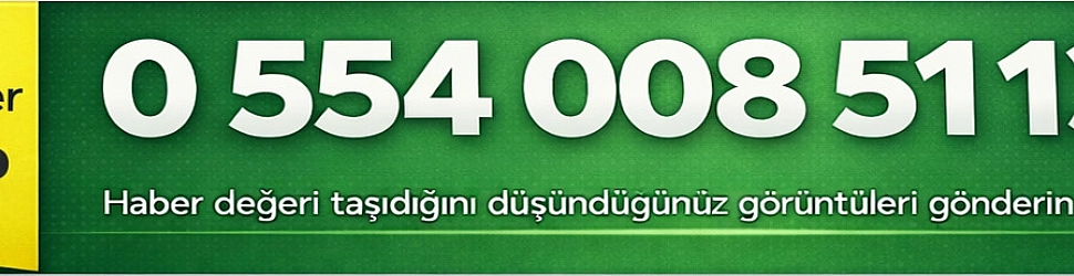 wp hattı en üst logo yanı