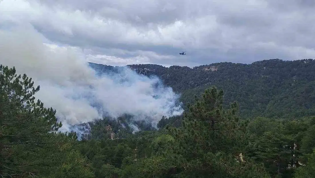 Beşkonak’ta orman yangını: Müdahale sürüyor!
