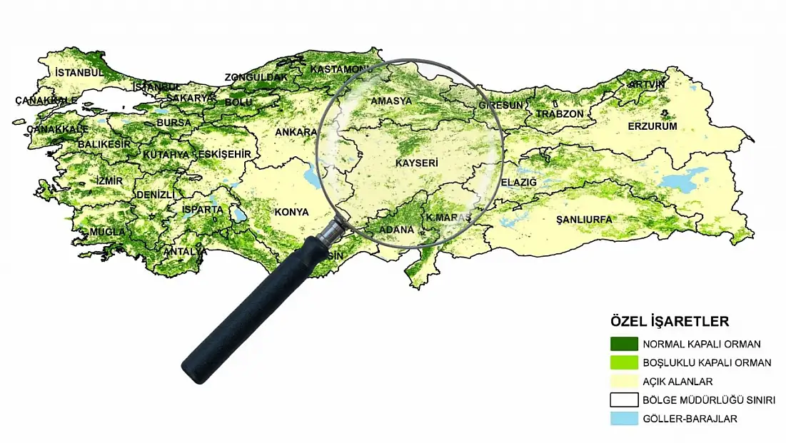 Kayseri’de beklenmedik keşif bilim dünyasında şaşkınlık yarattı!