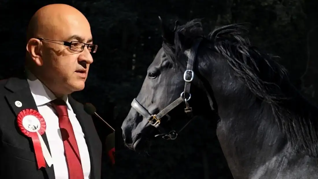Kayseri'de bir zamanlar 'At Mezarlığı' vardı! Murat Cahid Cıngı o detayı paylaştı