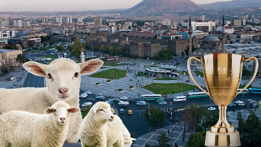 Kayseri'de hayvancılık başarısı: 3 sıra birden yükseliş yaşandı!