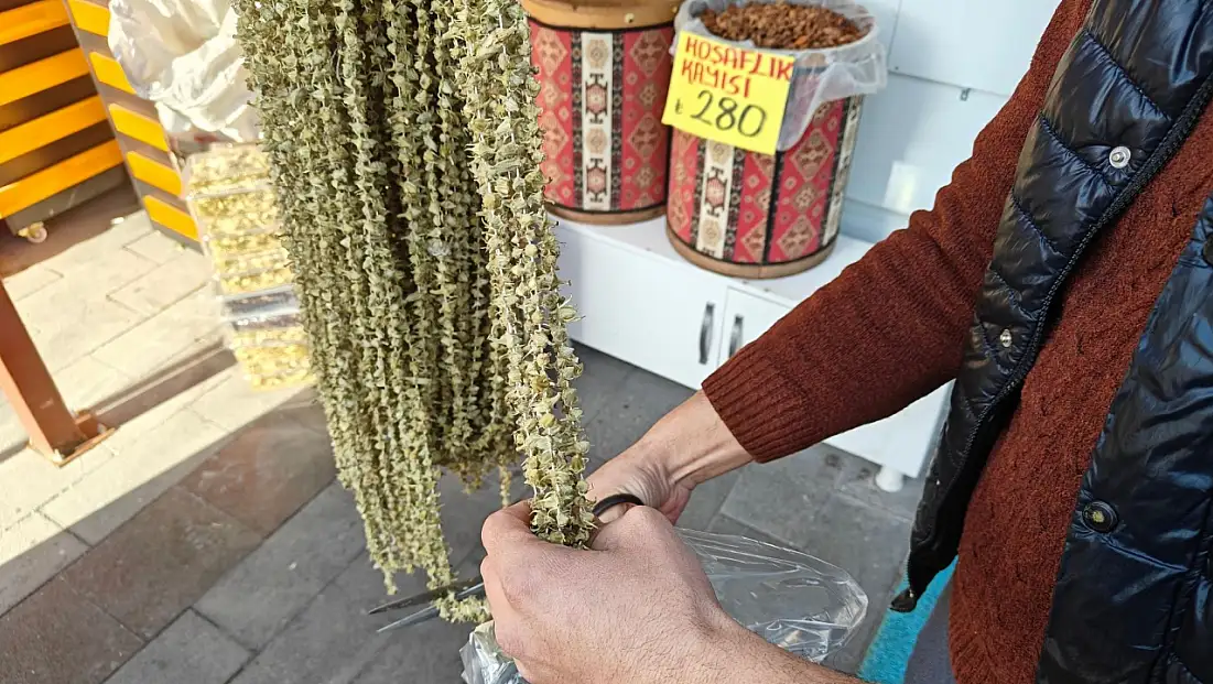 Kayseri'de Ramazan ayının gözdesi bamyanın fiyatı ne kadar oldu?