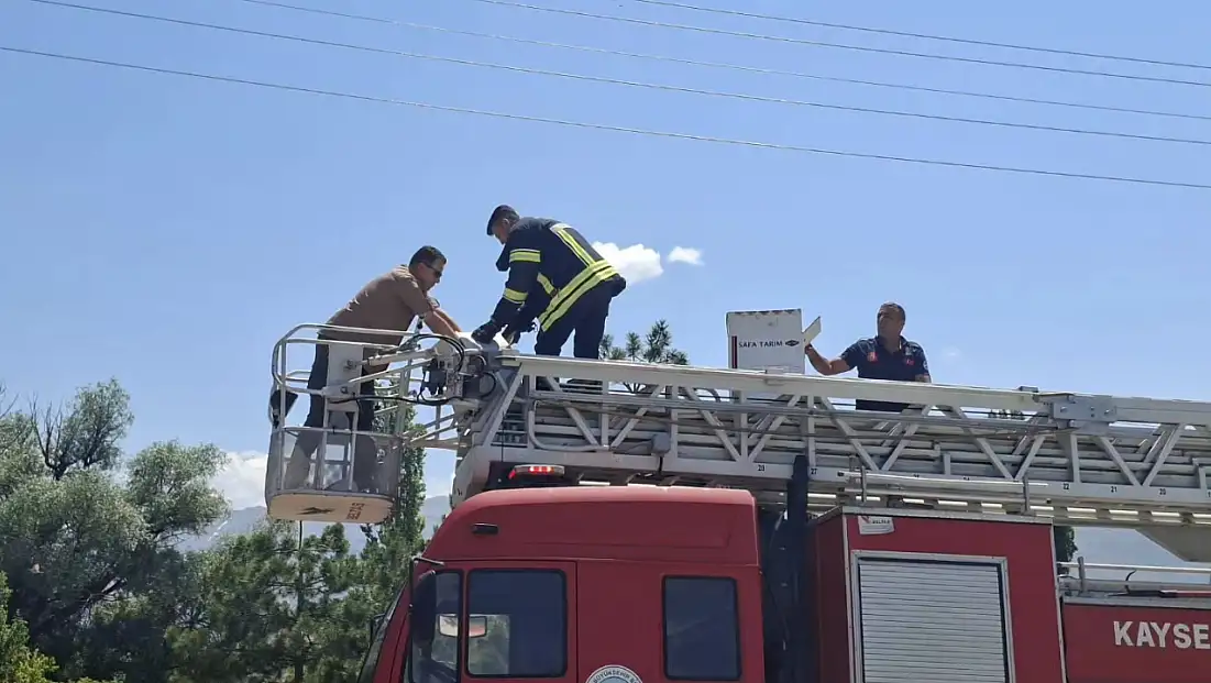 Kayseri'de yürek burkan ihbar! 3 gündür bekleyen yavrular son anda kurtarıldı