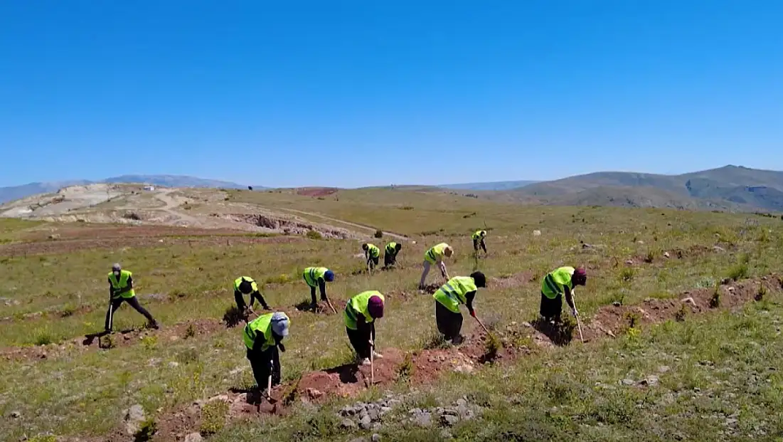 Kayseri OBM 3 yılda milyonlarca fidana can verdi: İşte 2023'ten bu yana o değişim...