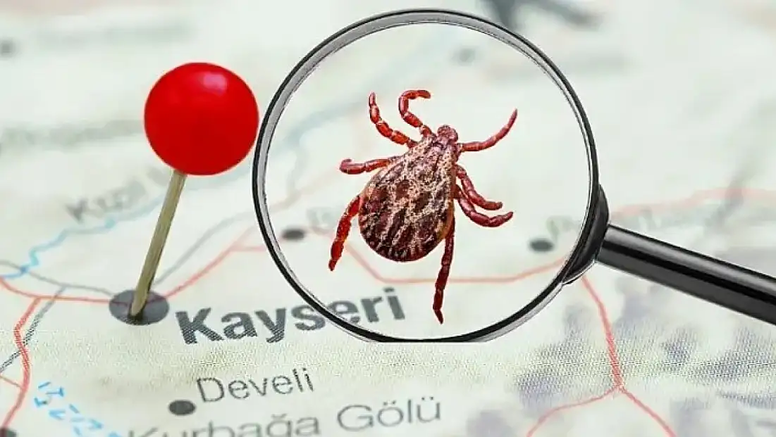 Komşuda 6. ölüm tedirgin etti: Kayseri’de kene en çok nerelerde var?