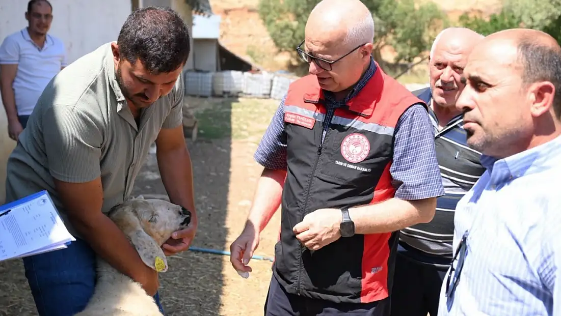 Sarız’da 'Kırsalda Bereket' projesi üreticinin yüzünü güldürdü!