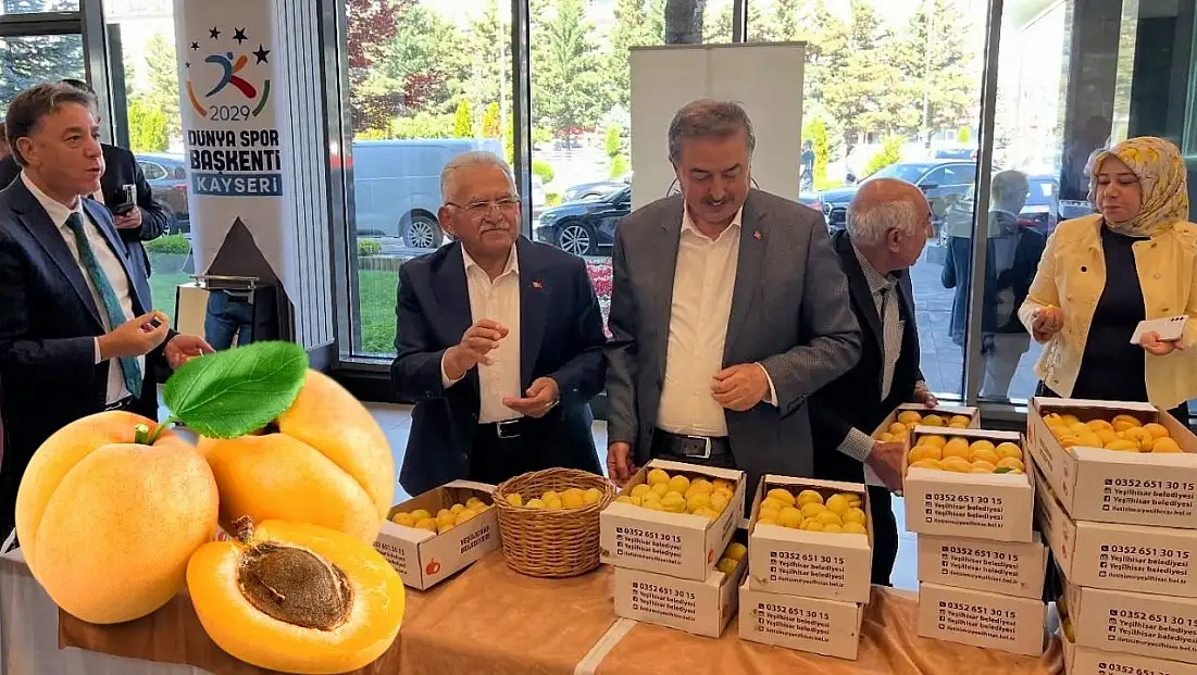Yeşilhisar kayısısı, Başkan Büyükkılıç ve meclis üyelerinden tam not aldı!