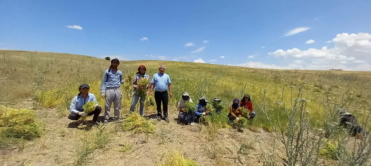 Ayşe Böhürler gündeme taşıdı! Kayseri'nin unutulan lezzeti yeniden konuşuluyor