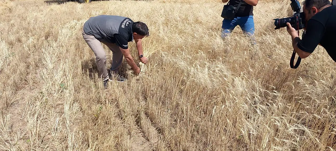 Kayseri'de üreticinin yüzünü güldüren 19 yıllık sır!