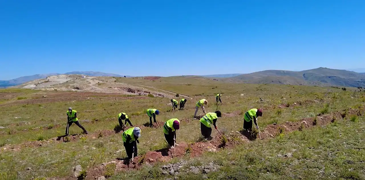 Kayseri OBM 3 yılda milyonlarca fidana can verdi: İşte 2023'ten bu yana o değişim...