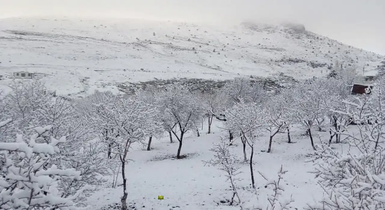 Akkışla ve Tomarza'da kar yağdı