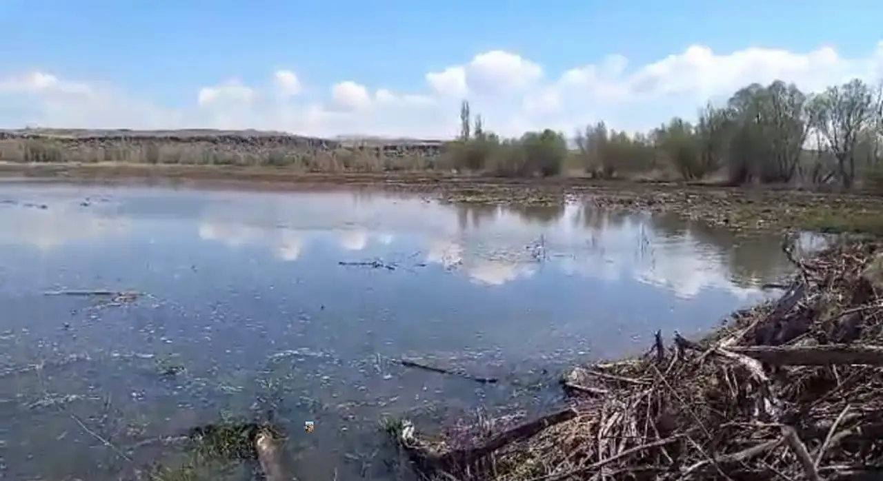 Develi'de tarım arazileri su altında: Vatandaş ne yapacak?