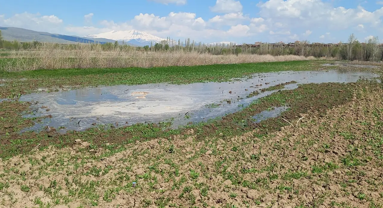 Develi'de tarım arazileri su altında: Vatandaş ne yapacak?