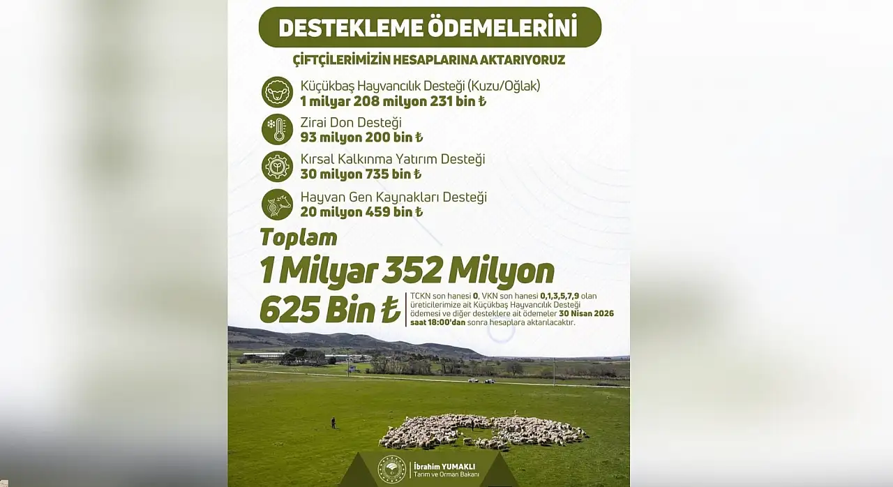 Milyarlar hesaplara geçti… En büyük pay nereye gitti?