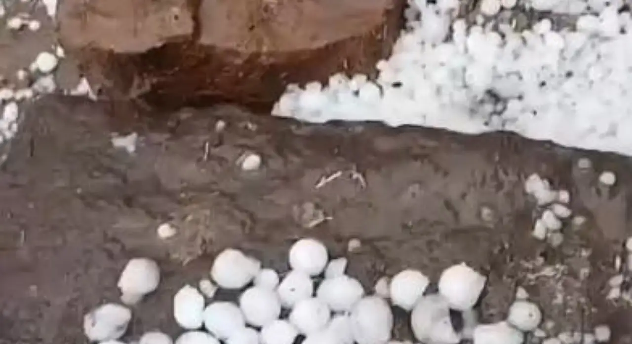 Kayseri'de tarımı vuran yağış! Bahçelerde hasar alarmı...