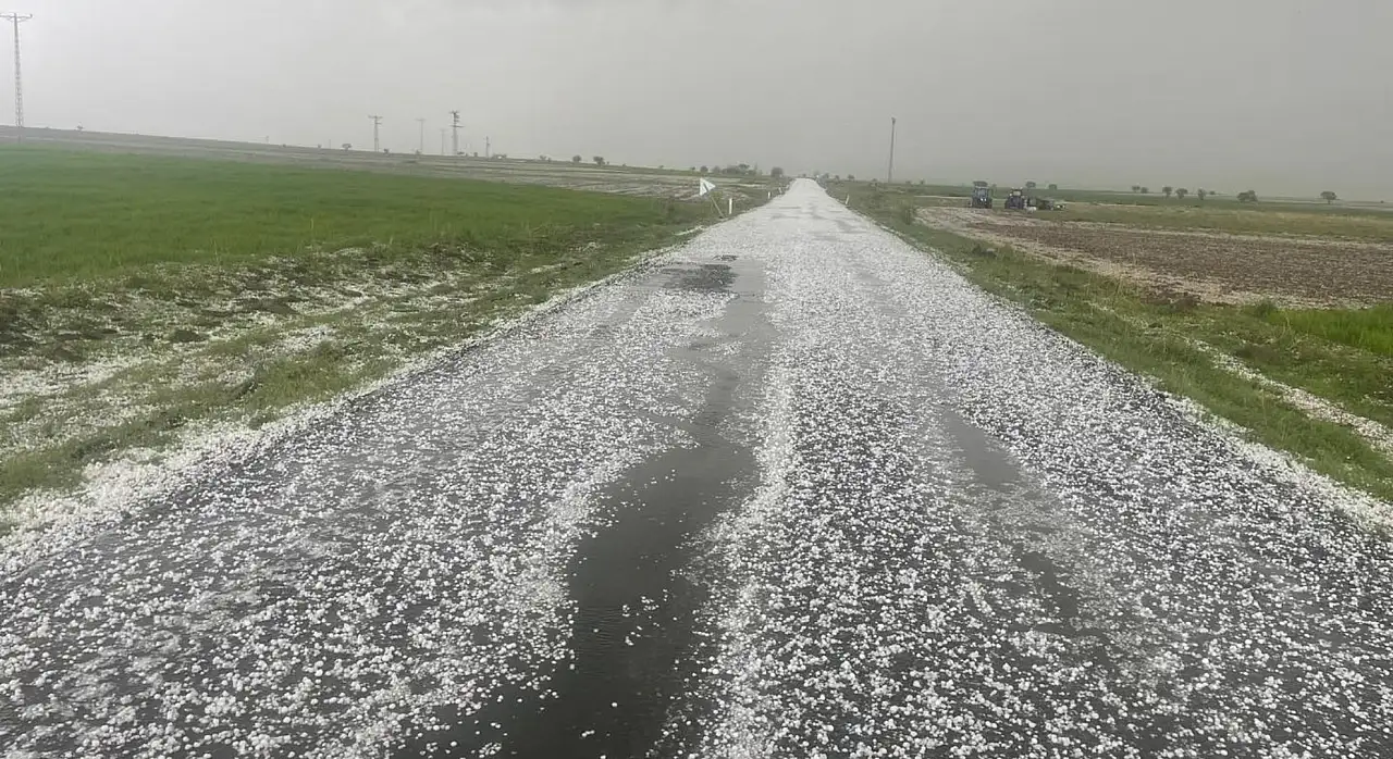 Kayseri'de tarımı vuran yağış! Bahçelerde hasar alarmı...