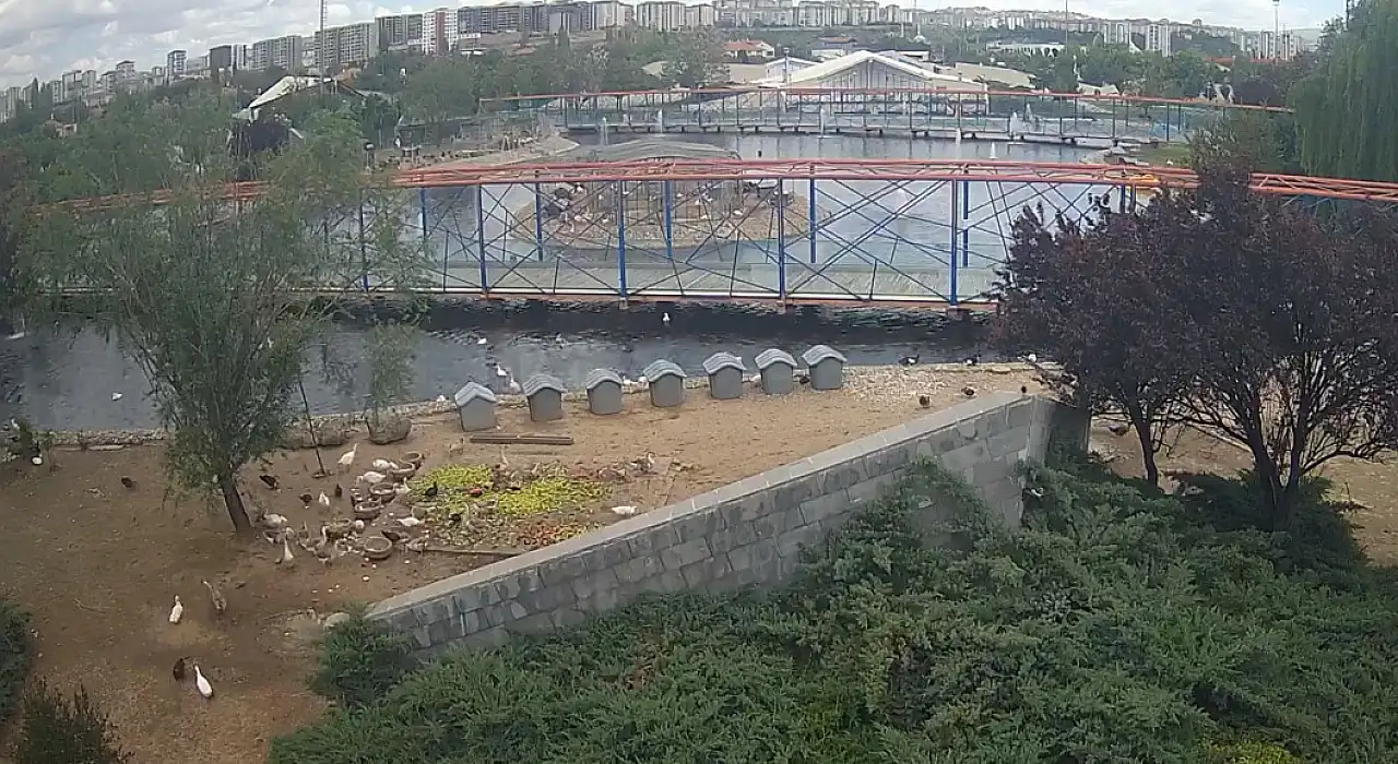 Kayseri'de iğne atsan yere düşmeyen yerler ıssızlaştı