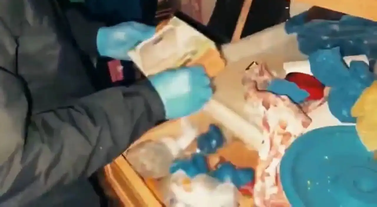 Kayseri'nin de içinde bulunduğu 78 ile operasyon: 1 ton 768 kilo 207 gram uyuşturucu madde ele geçirildi
