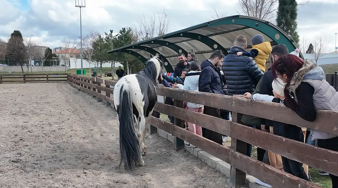 Kayseri'de ücretsiz oldu, hayvanat bahçesi dolup taştı