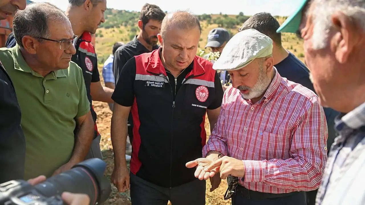 'Hasatta Her Dane Milli Servettir' anlayışı tüm şehre yayılıyor: Kayseri'de tarım atılımı!