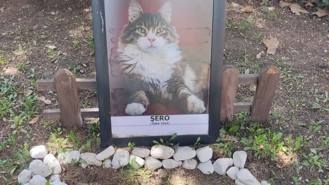 Kayseri'de çok az kişi biliyor: CHP'nin önündeki mezarlığı duydunuz mu?