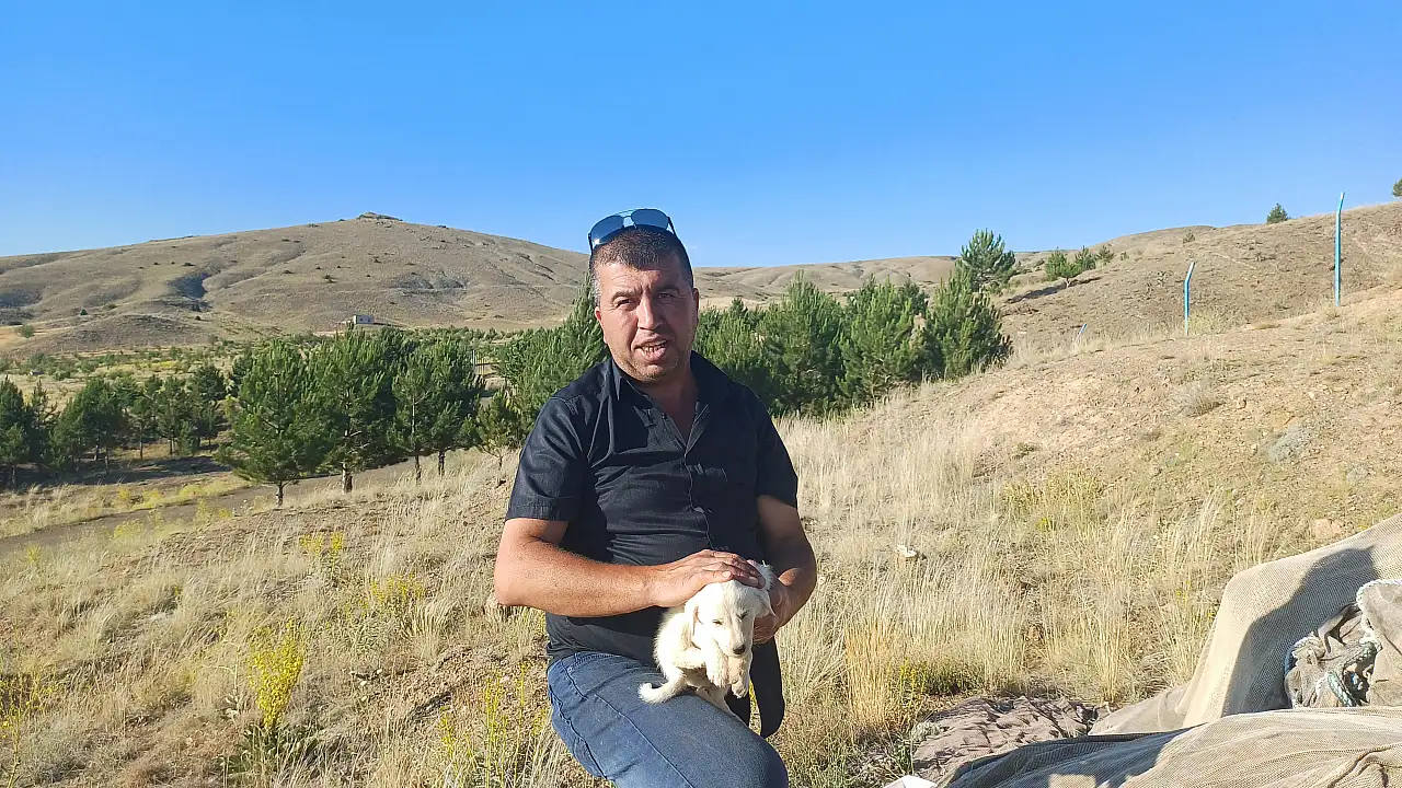 Kayser'de sokak hayvanlarına balık ziyafeti - Haftada yaklaşık 3 ton!