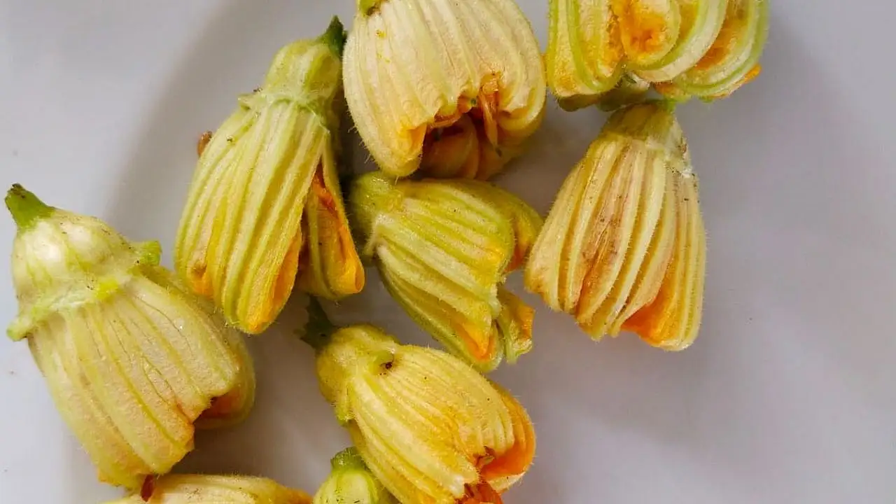 Kayseri'nin lezzeti İzmir'de toplanıyor: Kapış kapış gidiyor!