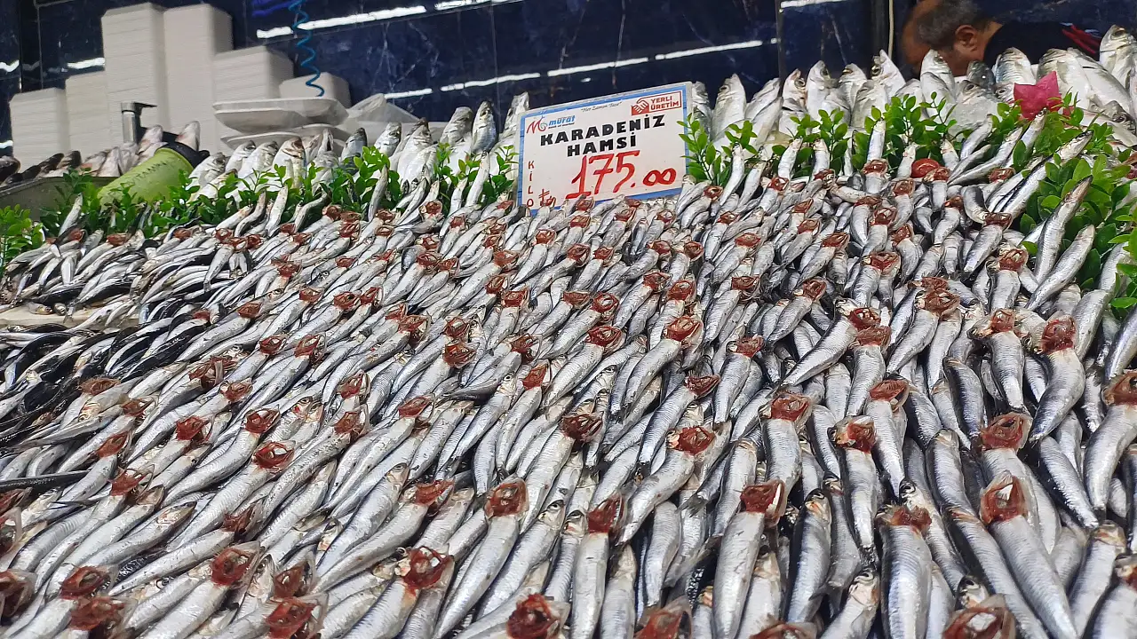 Kayseri'de kapış kapış gidiyor: Fiyatı 100 TL'den başlıyor!