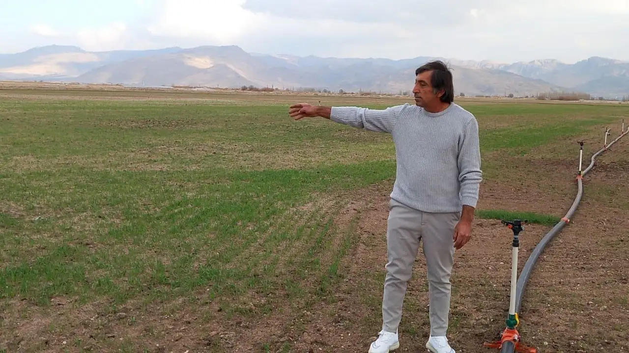 Develi'de 4.800 dekarlık mera kime verildi? İhalede sürpriz dağılım!