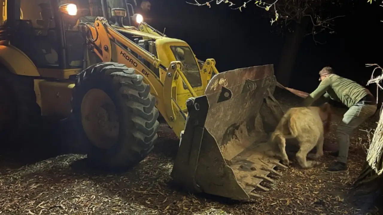 Kayseri'de dağ başında nefes kesen kurtarma! Ekipler seferber oldu