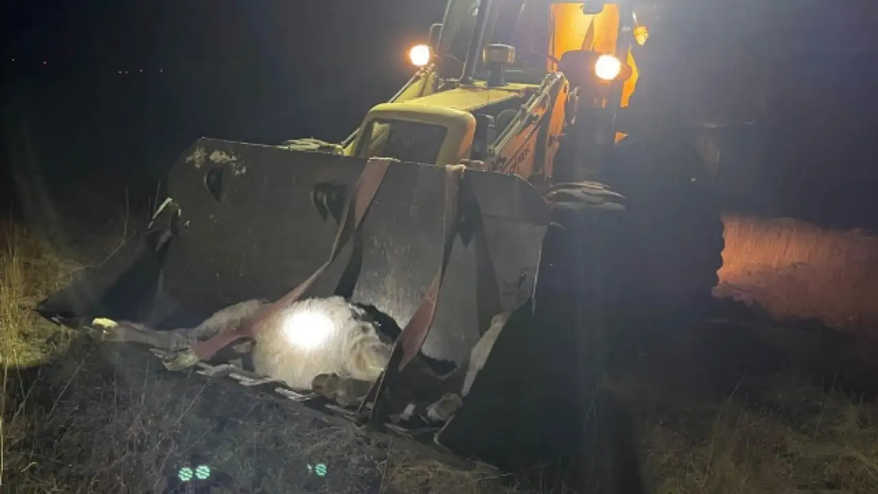 Kayseri'de dağ başında nefes kesen kurtarma! Ekipler seferber oldu