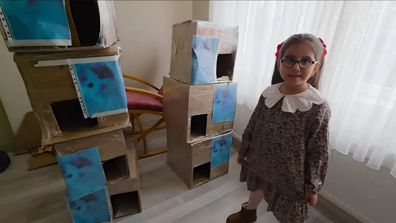 Kayseri'de küçük yürekten büyük duyarlılık - Buzdolabı kutusundan 7 kedi yuvası
