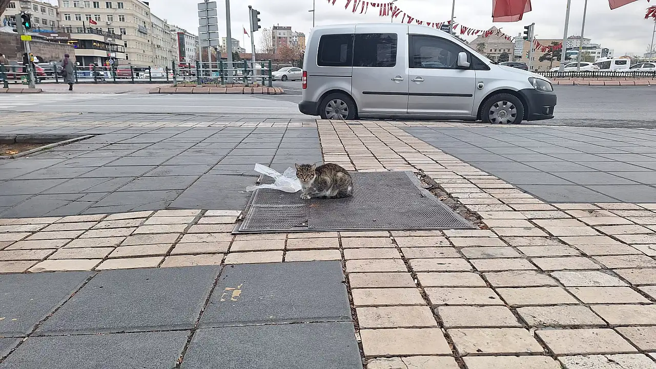 Kayseri ayazına karşı sıcak havayı buldu! Cumhuriyet Meydanı'nın yeni sakini