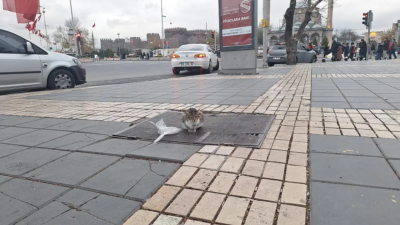 Kayseri ayazına karşı sıcak havayı buldu! Cumhuriyet Meydanı'nın yeni sakini