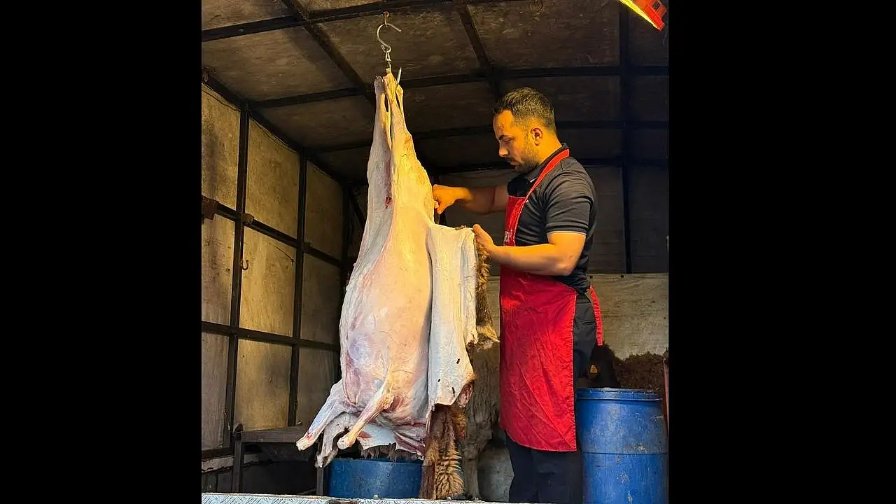 Kayseri'de kurbanlık hesabı erken başladı: 1 yılda fiyatlar nasıl değişti?