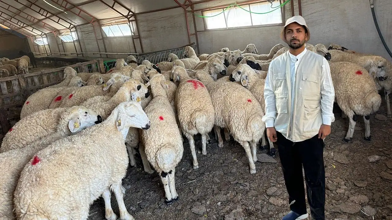 Kayseri'de kurbanlık hesabı erken başladı: 1 yılda fiyatlar nasıl değişti?