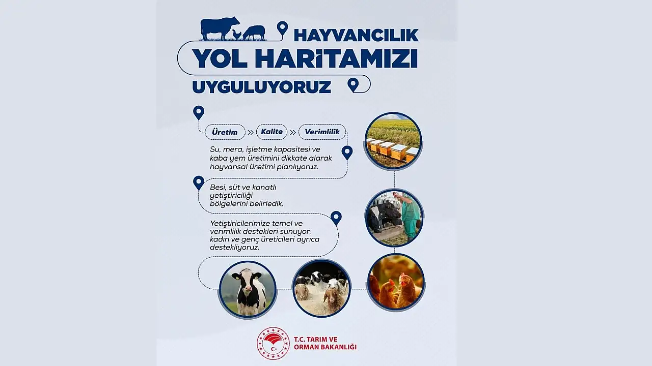 Hayvancılıkta her şey değişiyor: Büyük dönüşüm başladı!