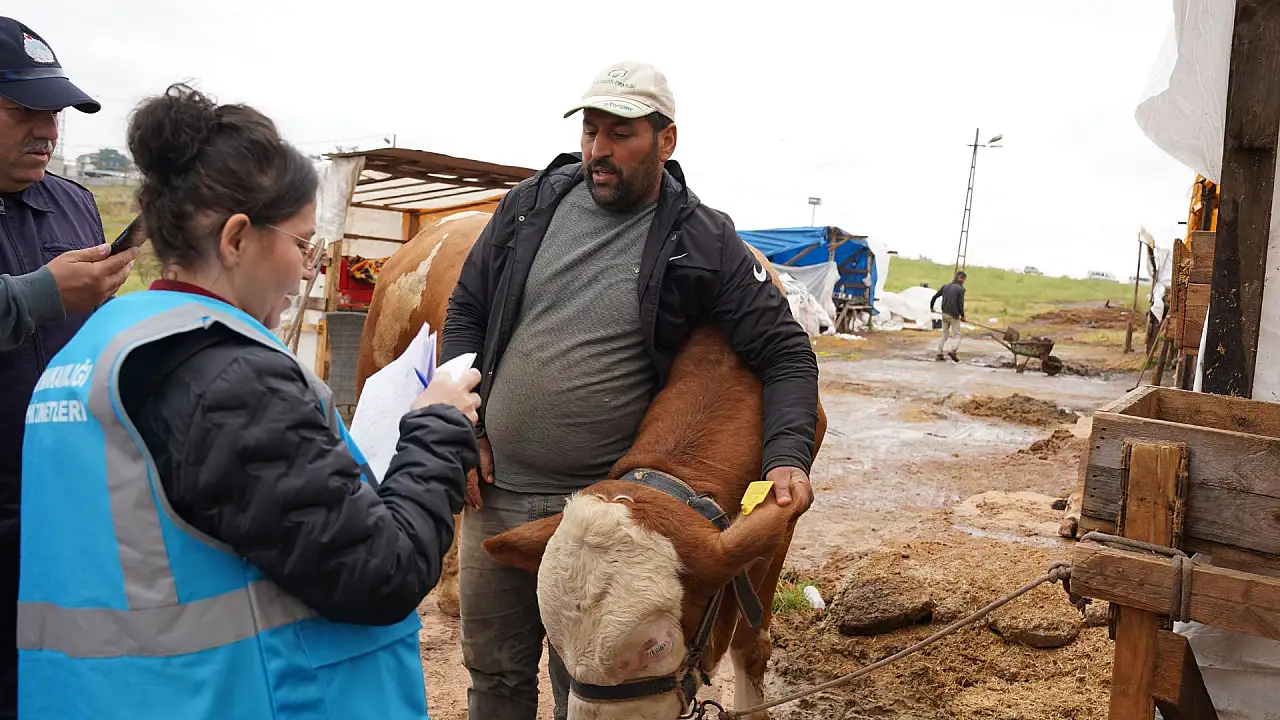 Kayserili besiciler dikkat: ESK satılmayan kurbanlıkları kaç liraya alacak?