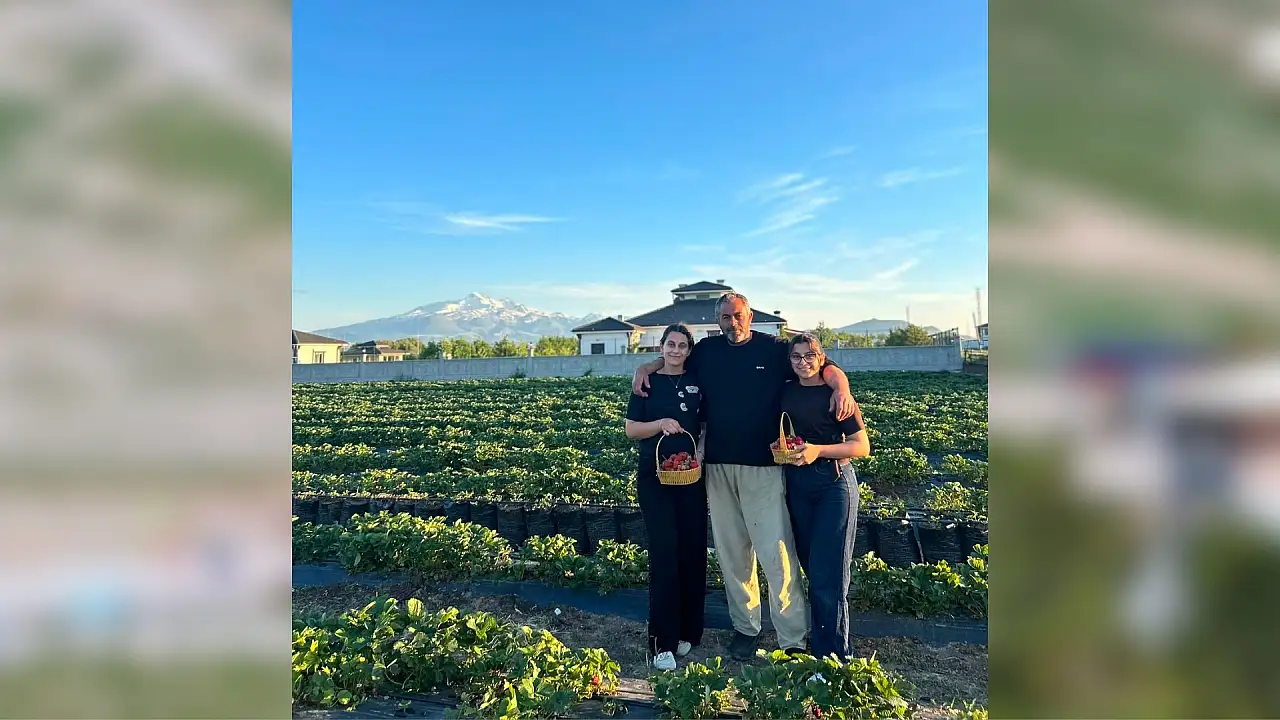 Çilek tarlasında aile dayanışması: 1 baba, 1 anne ve 3 kız kardeş