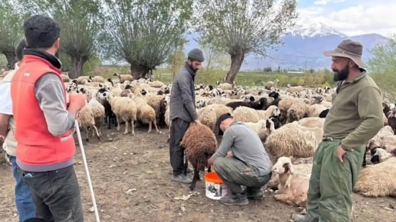Kayseri'de kimsenin yapmak istemediği iş için yeni karar!
