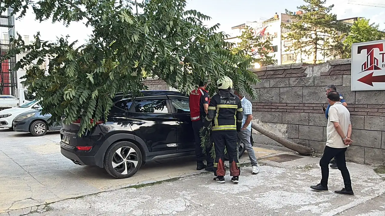 Kayseri'da ağaç aracın üzerine devrildi