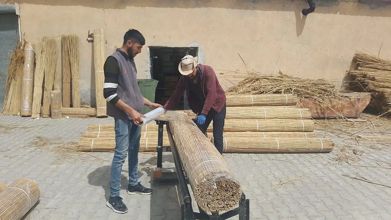 Kayseri'de herkes bu atığın peşine düştü! Bahçeye seren kazanıyor