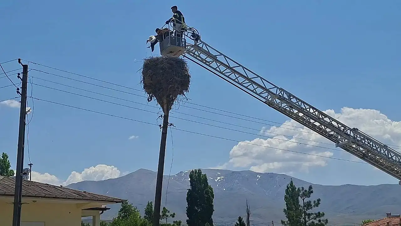 Kayseri'de yürek burkan ihbar! 3 gündür bekleyen yavrular son anda kurtarıldı