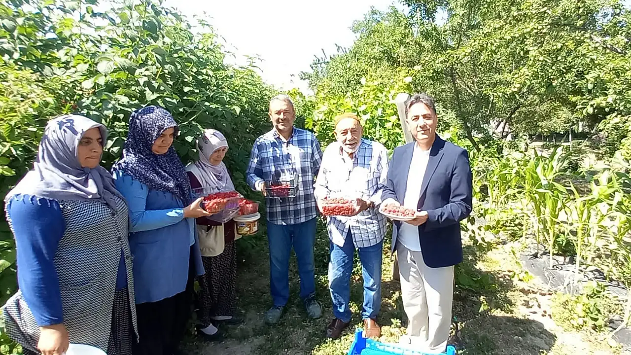 Kayseri'de yeni gelir kapısı! Kilosu cep yakan üründe ilk hasat