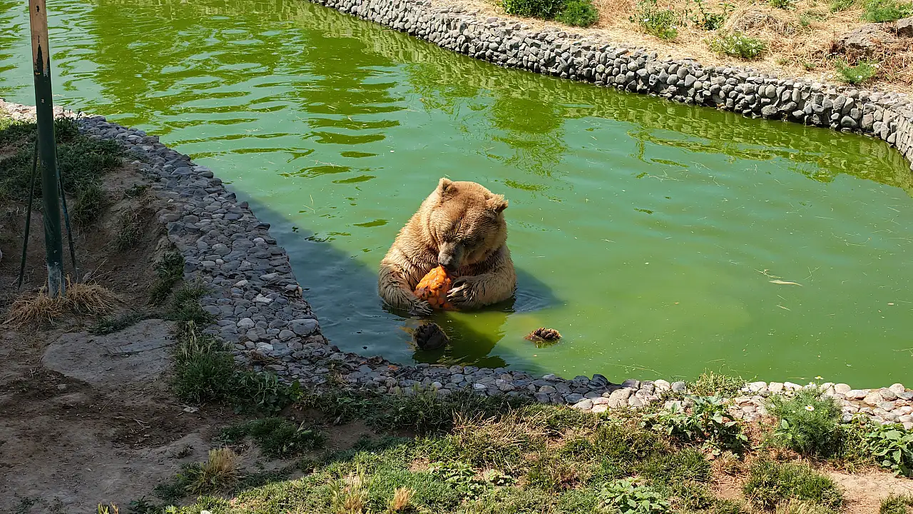 Harikalar Diyarı'nda serinleten mesai...