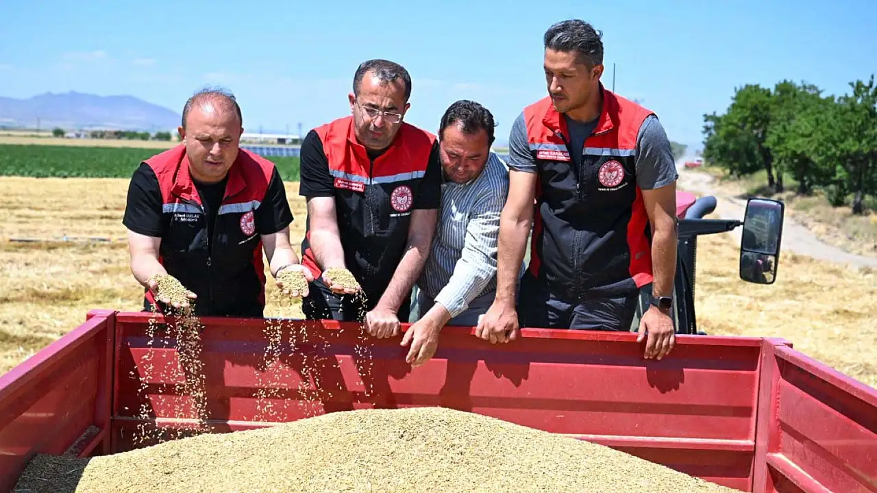 Kayseri'de hububat hasadı başladı, biçerdöverler denetleniyor!