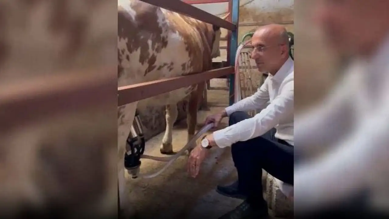 Kayseri'de üreticinin en büyük korkusu gerçek oluyor