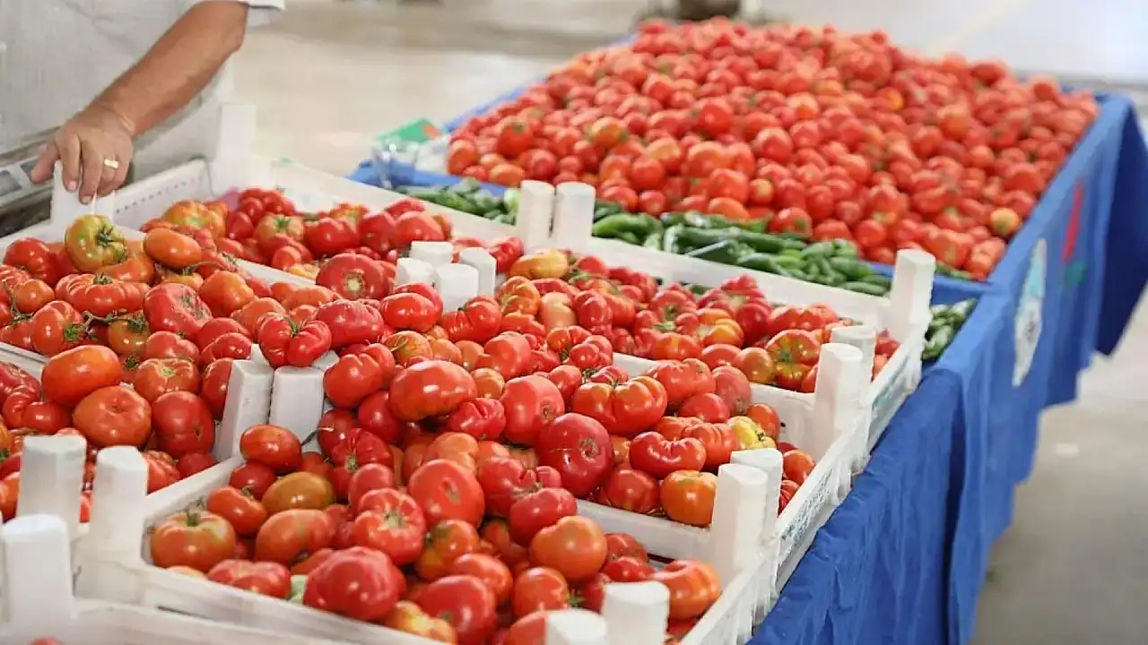 Kayseri'nin en doğal pazarı yarın kapılarını açıyor! Üreticiden direkt satışın adresi belli oldu