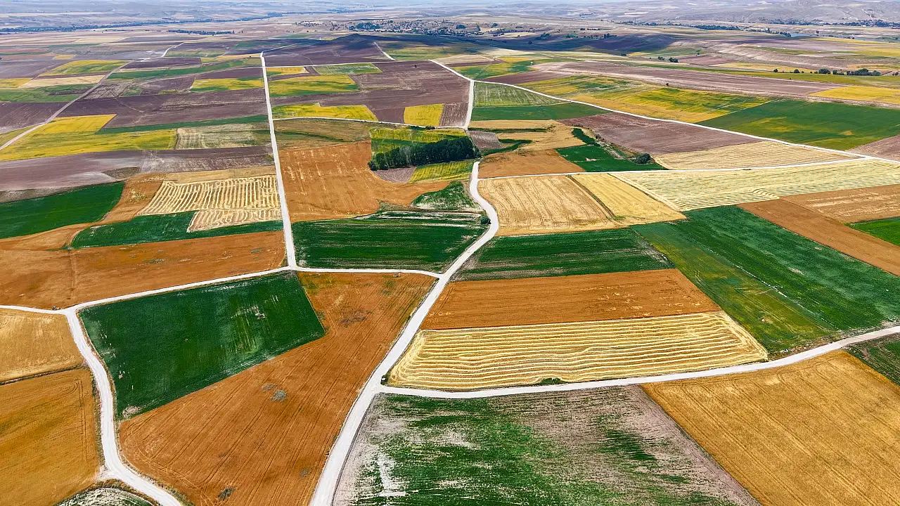 Kayseri'de tarıma elverişsiz 500 dekar arazi üretime kazandırıldı