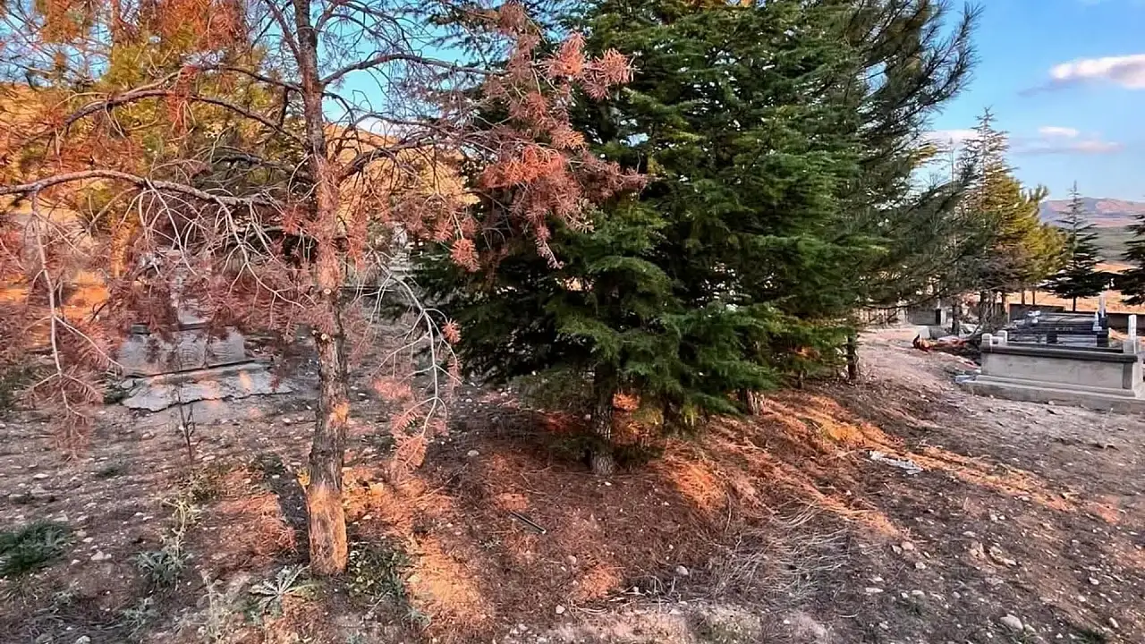 Develi'de mezarlığa gittiler, gördüklerine inanamadılar!